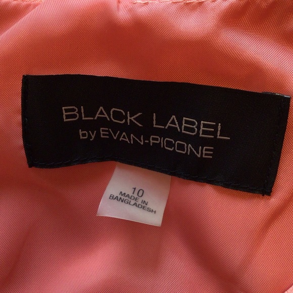Black Label Evan-Picone Sleeveless Peach Sheath Dress - Picture 6 of 12